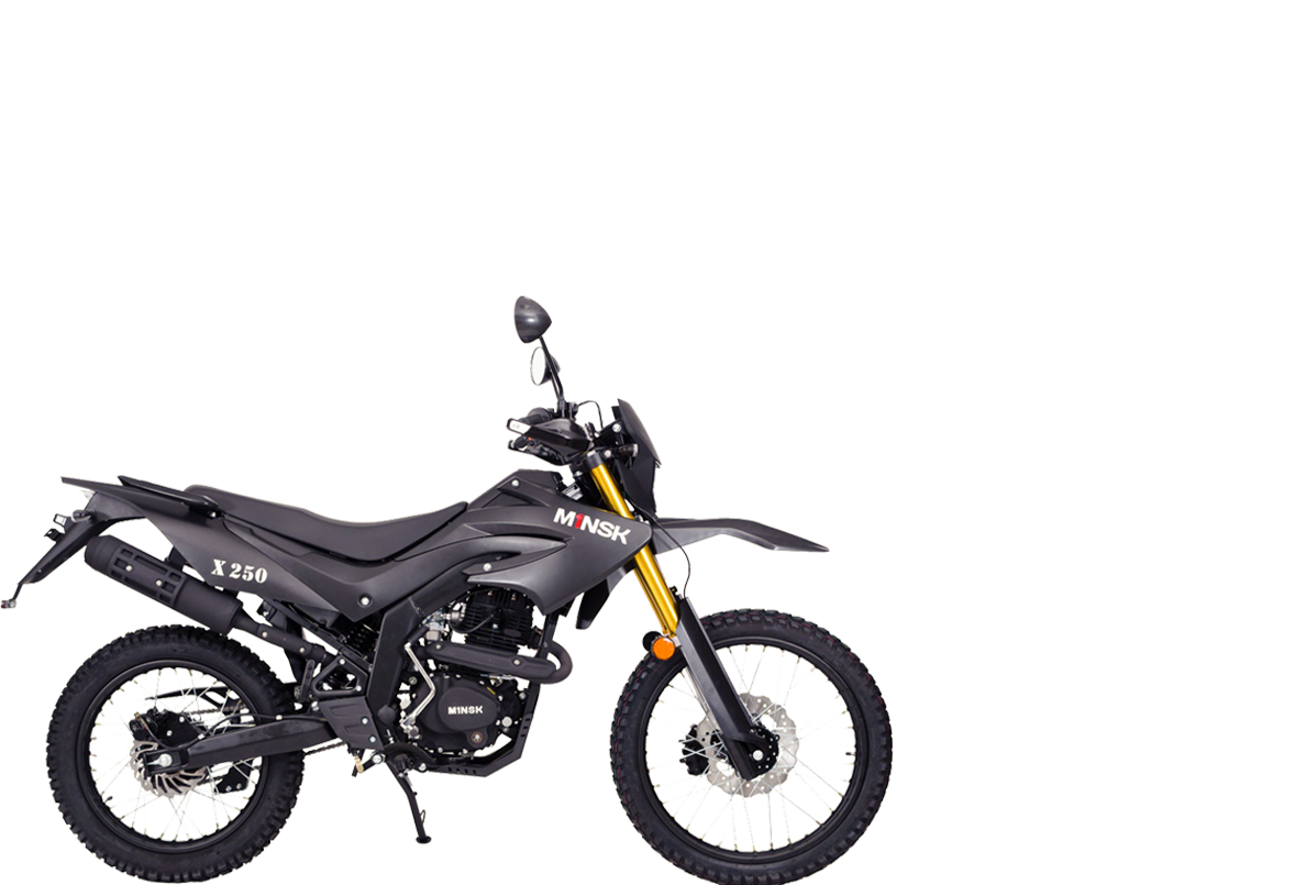 M1NSK X250